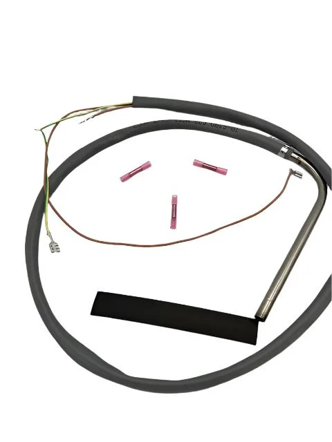 dcp13ortseg