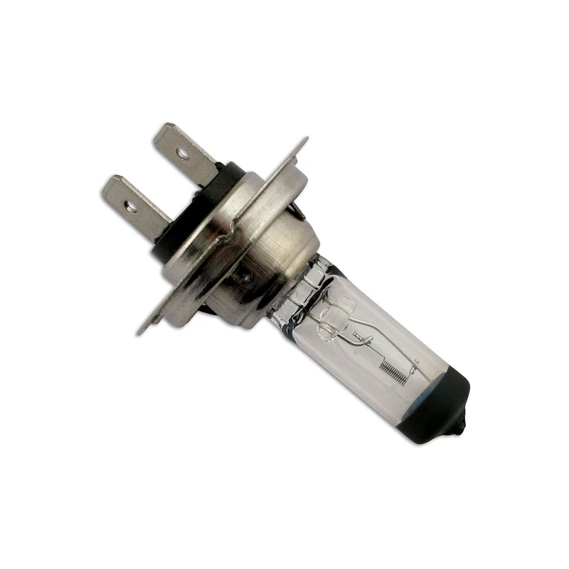 z2am4lg54wh